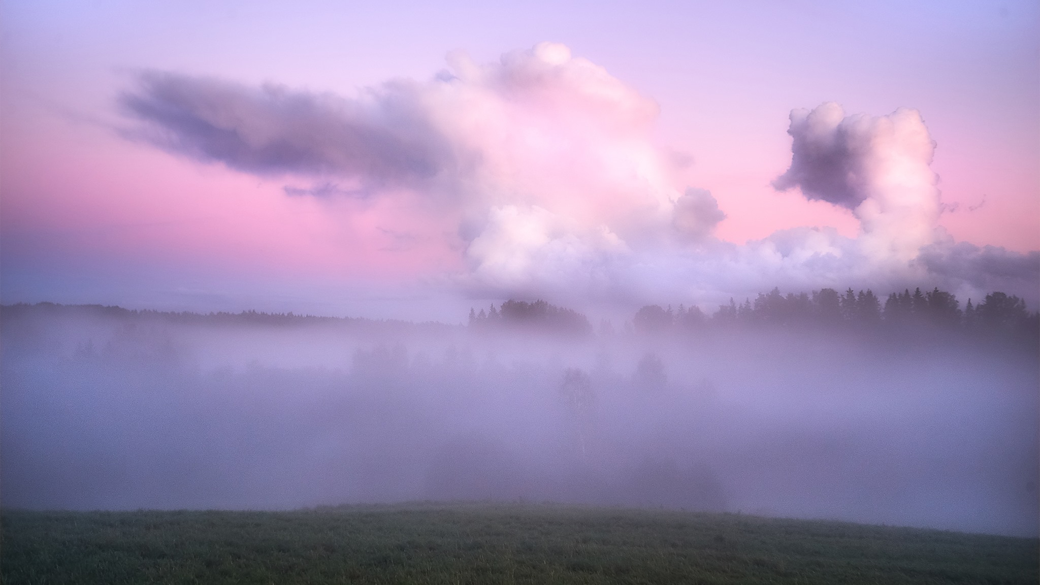 Pink world
